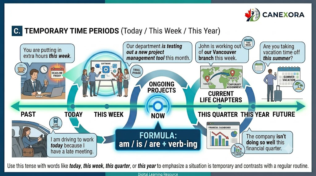 C. Temporary Time Periods (Today / This Week / This Year)